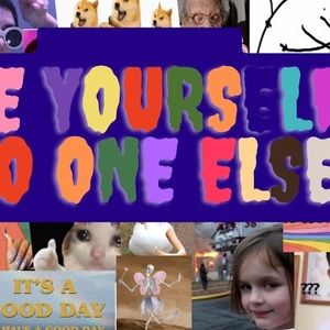 Meet your Posher, Nguyen thao